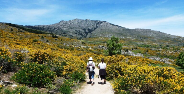 Floración del Cambroño desde los Molinos